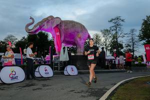 BIB: 
                            <button type="button" onclick="openModal(26529484)" class="btn btn-primary btn-sm float-right btn-popup" data-toggle="modal" data-target=".modal-high-quality">
                        <i class="fas fa-shopping-cart"></i> Add to Cart
                    </button>
                                            <button type="button" onclick="isThisMe(26529484, true)" class="btn btn-success btn-sm float-right btn-popup btn-isme hidden" data-toggle="tooltip" data-placement="bottom" title="นี่คือรูปของคุณใช่ไหม คลิกที่นี่เพื่อเอาเข้าอัลบั้ม">
                        <i class="fas fa-plus"></i> Add to album
                    </button>
                    <button type="button" onclick="isThisMe(26529484, false)" class="btn btn-warning btn-sm float-right btn-popup btn-isnotme hidden">
                        <i class="fas fa-ban"></i> Remove from album
                    </button>